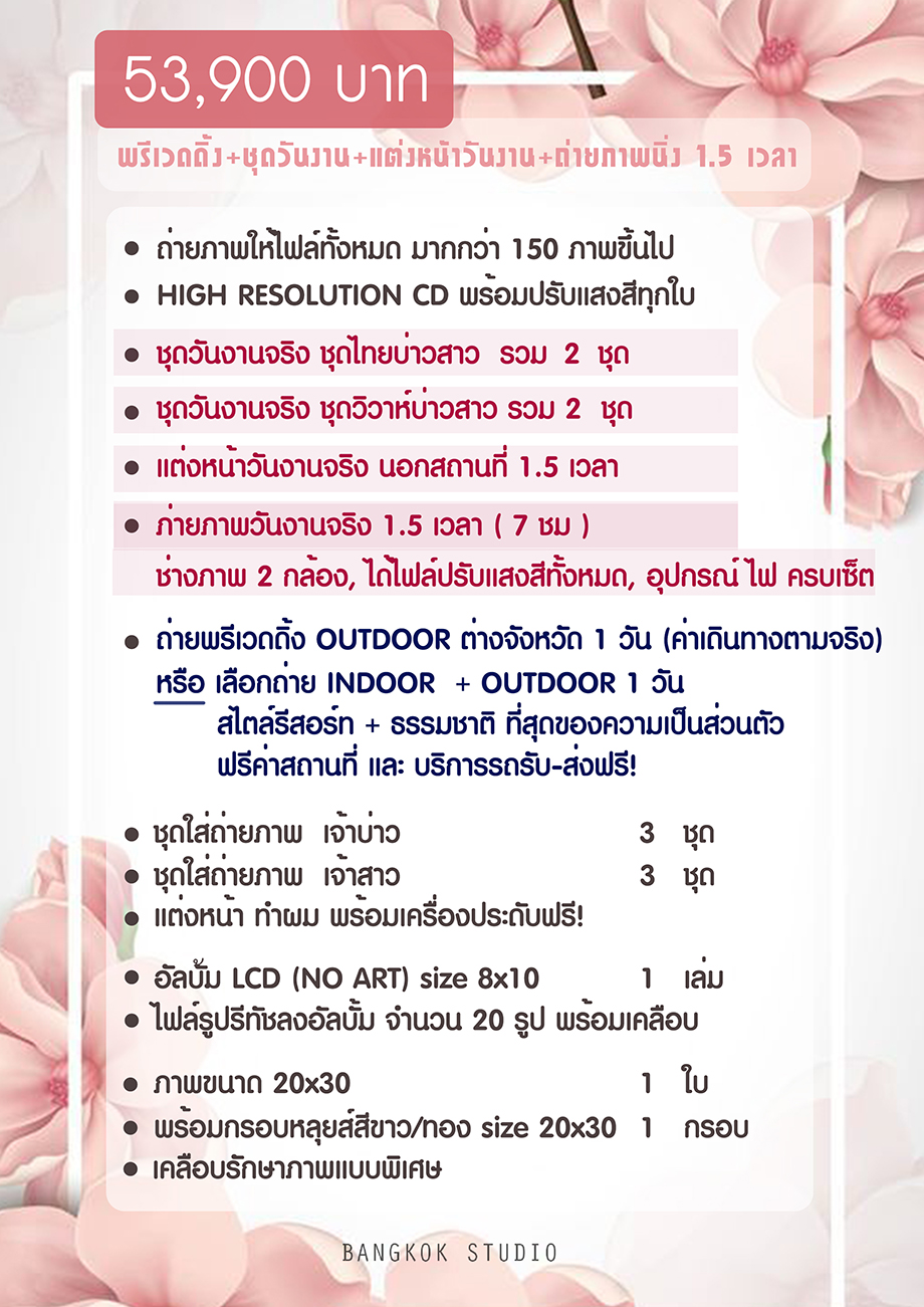 53900web